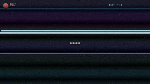 周末随拍记录 - 91安装 原创视频